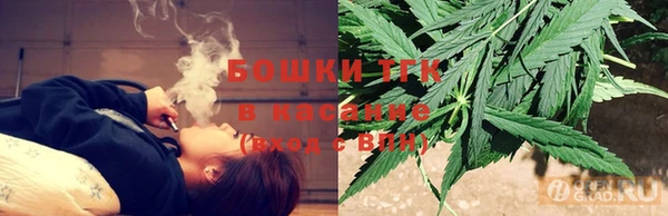 дурь Новодвинск