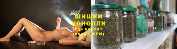 дурь Новодвинск