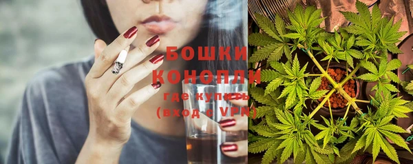 дурь Новодвинск