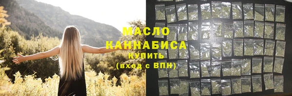 дурь Новодвинск
