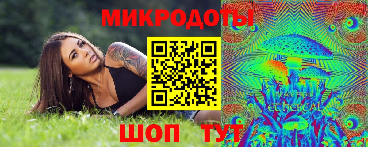 Галлюциногенные грибы Psilocybine cubensis Братск