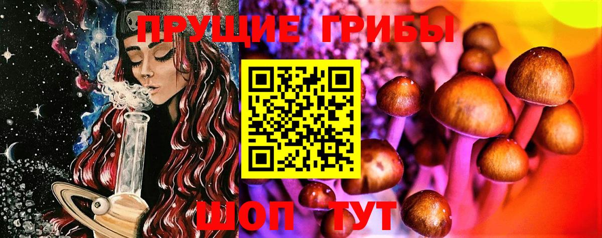 купить  сайты  Псилоцибиновые грибы MAGIC MUSHROOMS  Братск  Галлюциногенные грибы Psilocybine cubensis 