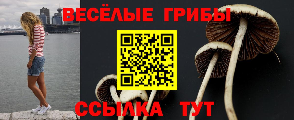 Братск  Псилоцибиновые грибы Psilocybe  Вход с VPN  Галлюциногенные грибы прущие грибы 